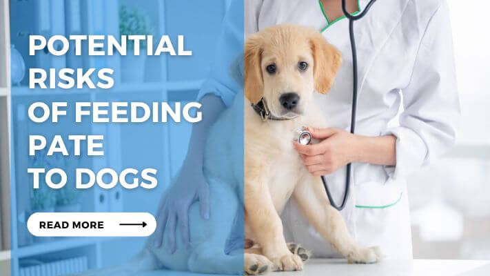 Potential Risks of Feeding Pate to Dogs