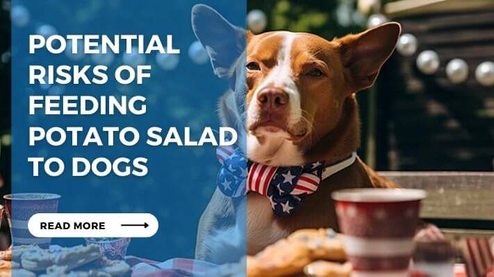 Potential Risks of Feeding Potato Salad to Dogs