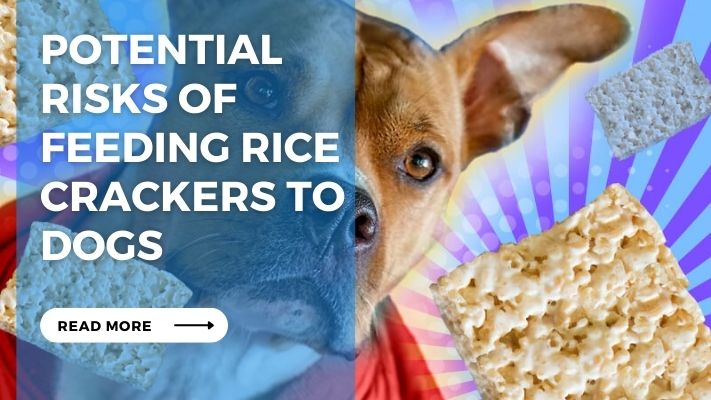 Potential Risks of Feeding Rice Crackers to Dogs