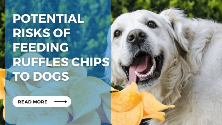 Potential Risks of Feeding Ruffles Chips to Dogs