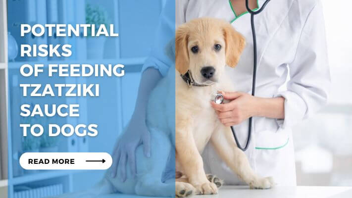 Potential Risks of Feeding Tzatziki Sauce to Dogs