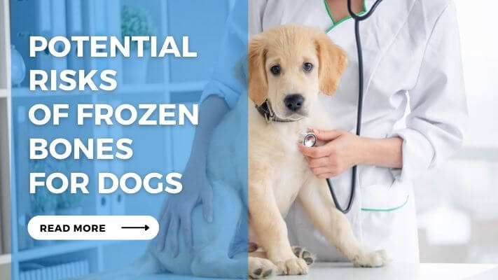 Potential Risks of Frozen Bones for Dogs