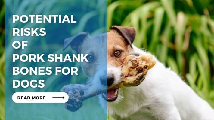 Potential Risks of Pork Shank Bones for Dogs