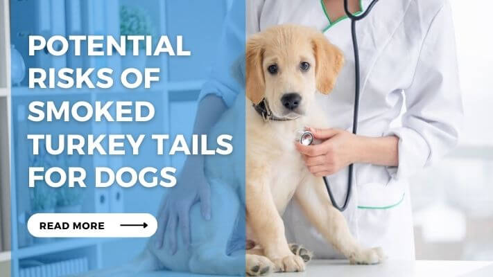 Potential Risks of Smoked Turkey Tails for Dogs