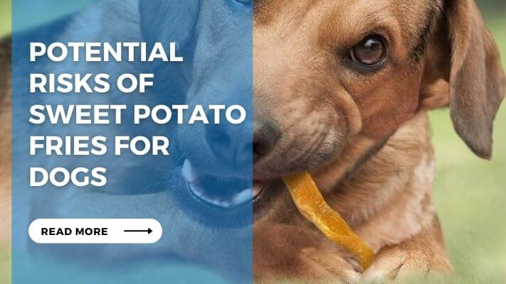 Potential Risks of Sweet Potato Fries for Dogs