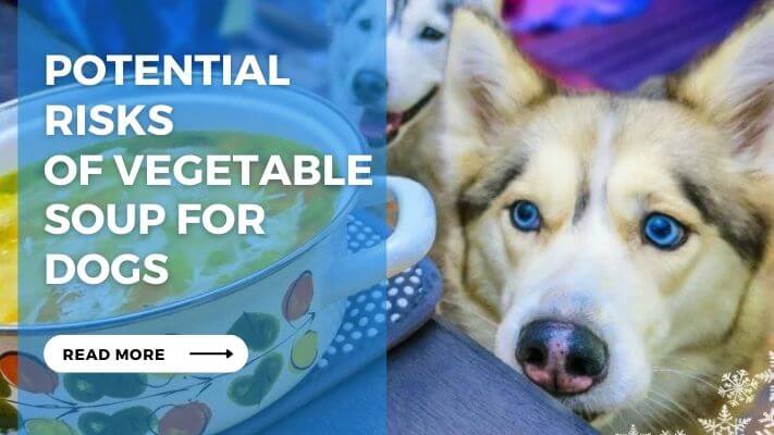 Potential Risks of Vegetable Soup for Dogs