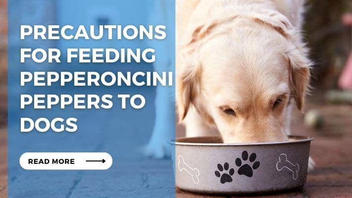 Precautions for Feeding Pepperoncini Peppers to Dogs