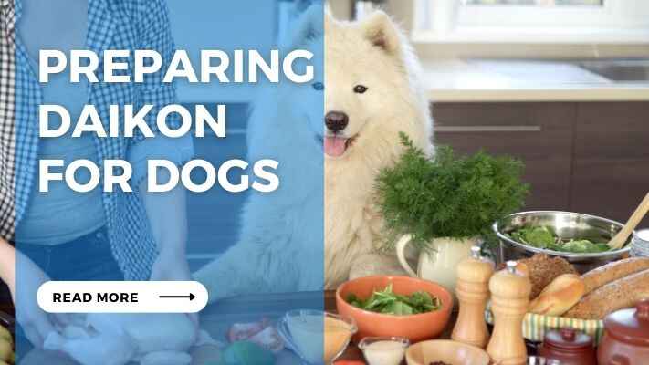 Preparing Daikon for Dogs