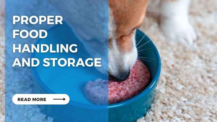 Proper Food Handling and Storage