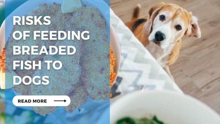 Risks of Feeding Breaded Fish to Dogs