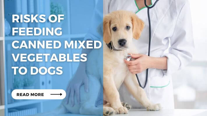 Risks of Feeding Canned Mixed Vegetables to Dogs