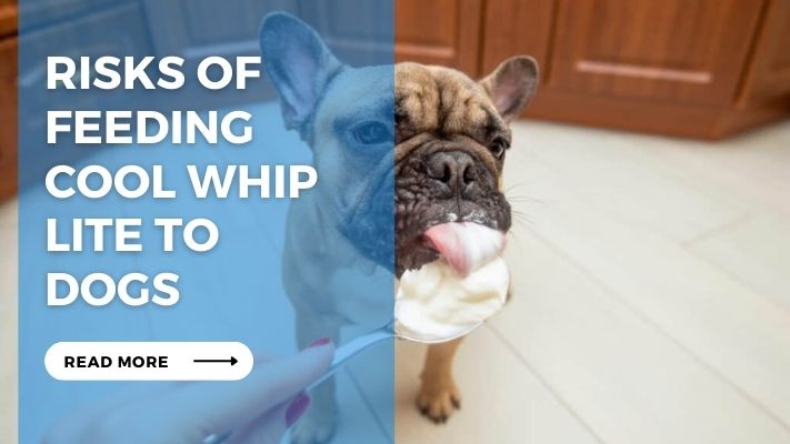 Risks of Feeding Cool Whip Lite to Dogs