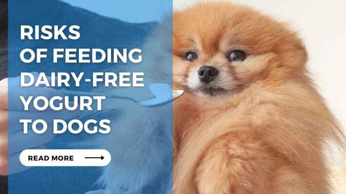 Risks of Feeding Dairy Free Yogurt to Dogs