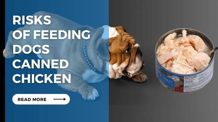 Risks of Feeding Dogs Canned Chicken