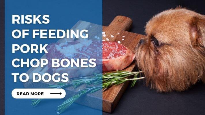 Risks of Feeding Pork Chop Bones to Dogs