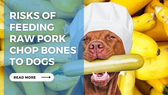 Risks of Feeding Raw Pork Chop Bones to Dogs