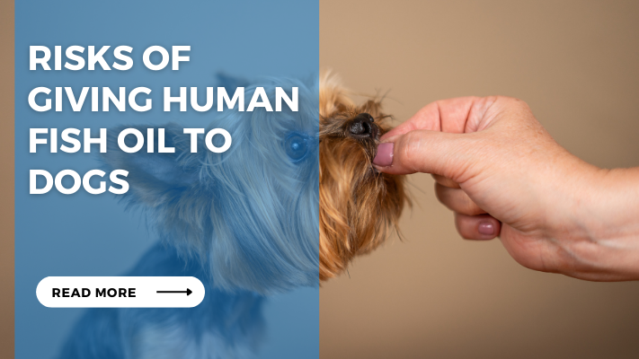 Risks of Giving Human Fish Oil to Dogs