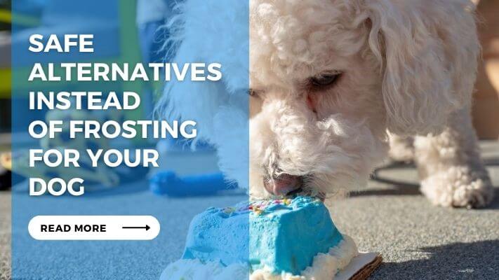 Safe Alternatives Instead of Frosting for Your Dog