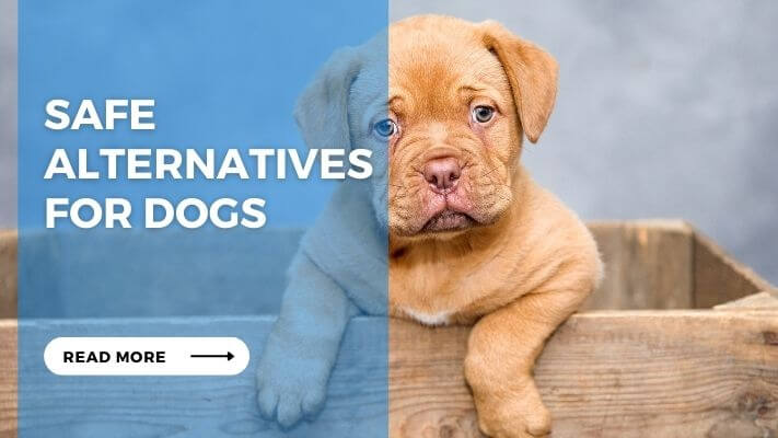 Safe Alternatives for Dogs