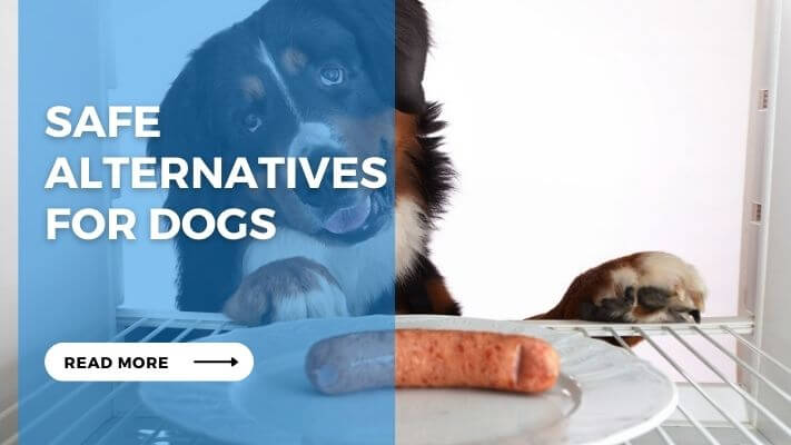 Safe Alternatives for Dogs