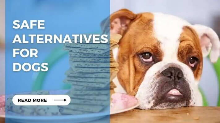 Safe Alternatives for  Dogs