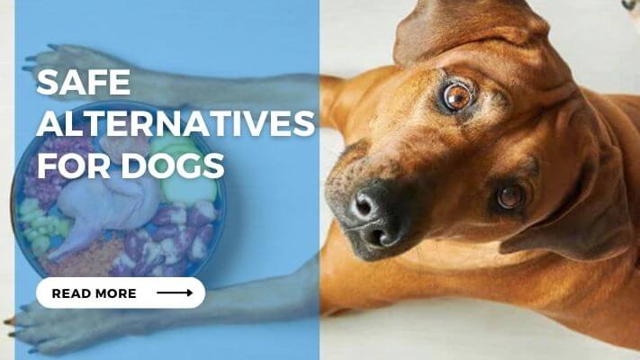 Safe Alternatives for Dogs