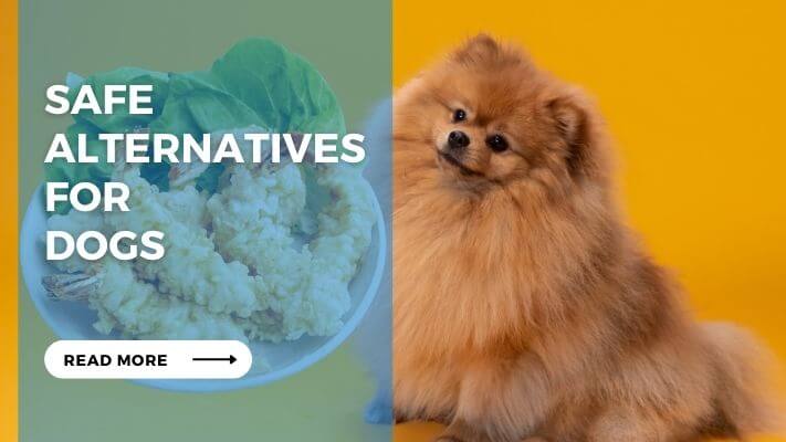 Safe Alternatives for Dogs