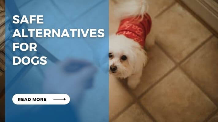 Safe Alternatives for Dogs