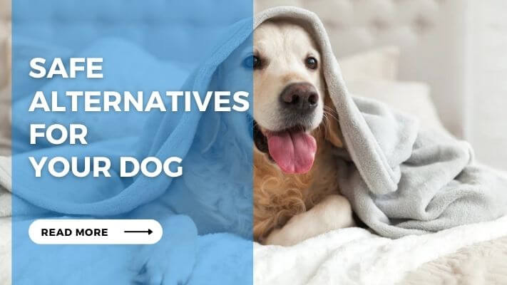 Safe Alternatives for Your Dog