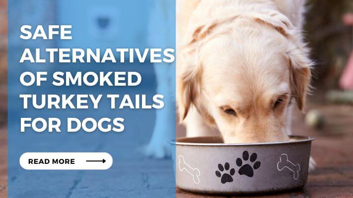 Safe Alternatives of Smoked Turkey Tails for Dogs