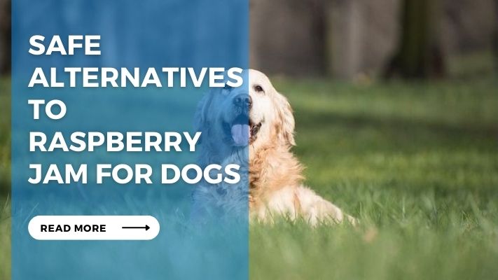 Safe Alternatives to Raspberry Jam for Dogs