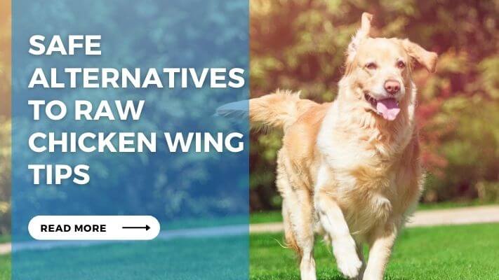 Safe Alternatives to Raw Chicken Wing Tips