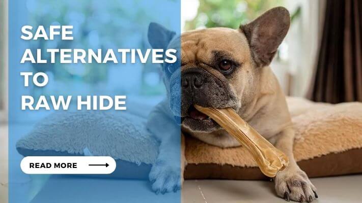 Safe Alternatives to  Raw Hide