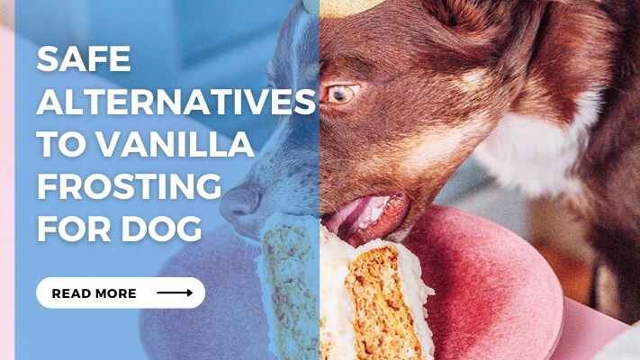 Safe Alternatives to Vanilla Frosting for Dog