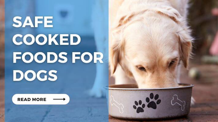 Safe Cooked Foods for Dogs