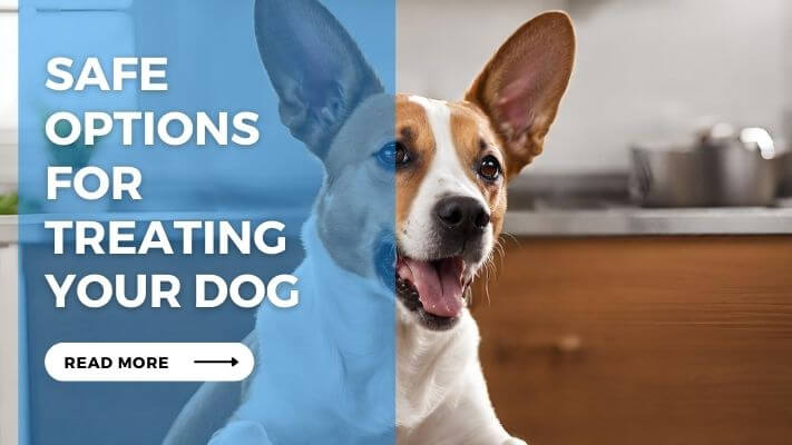 Safe Options for Treating Your Dog