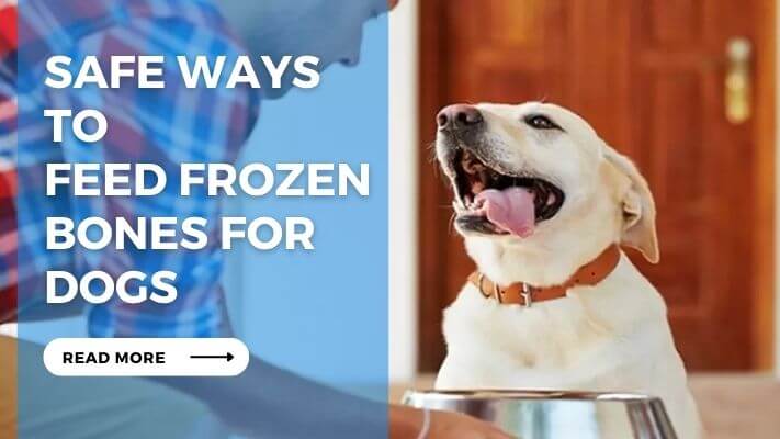 Safe Ways to Feed Frozen Bones for Dogs