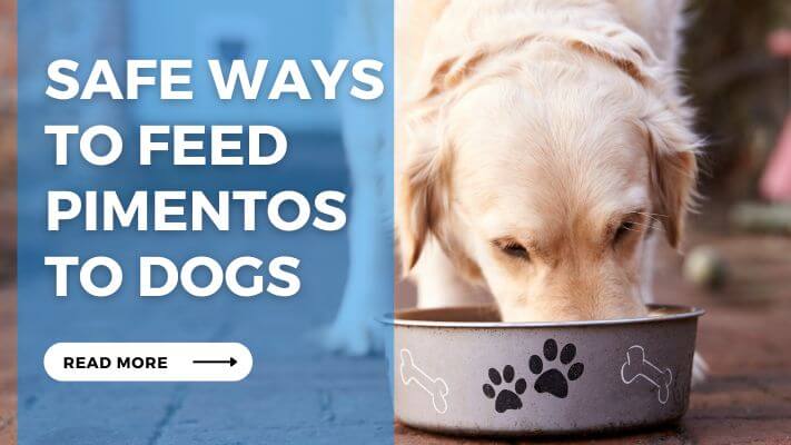 Safe Ways to Feed Pimentos to Dogs