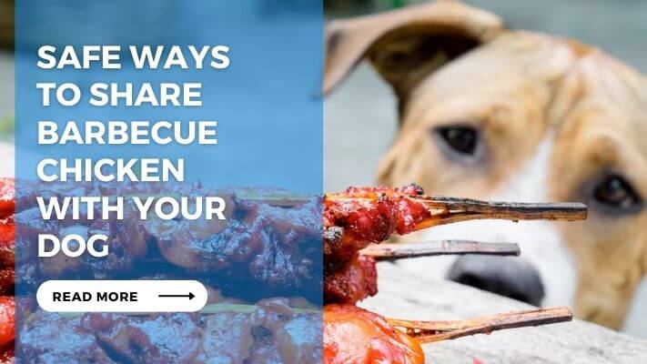 Safe Ways to Share Barbecue Chicken with Your Dog