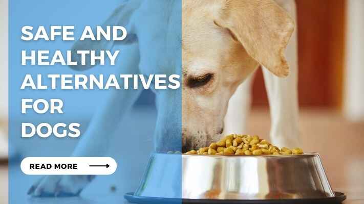 Safe and Healthy Alternatives for Dogs