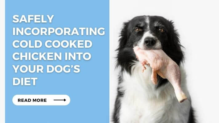 Safely Incorporating Cold Cooked Chicken into Your Dog’s Diet