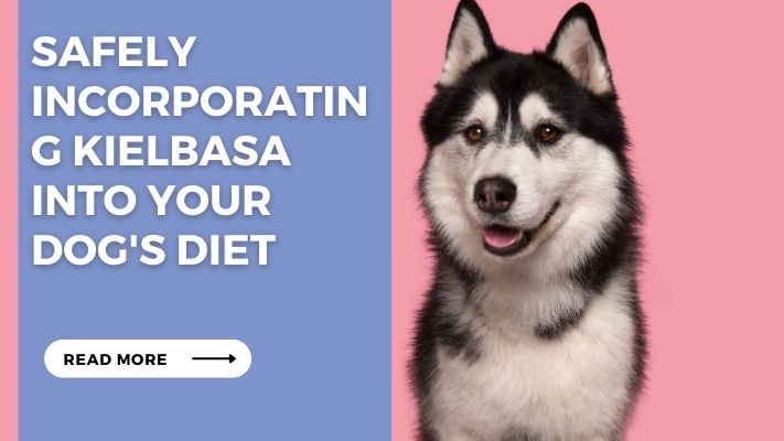 Safely Incorporating Kielbasa into Your Dog's Diet