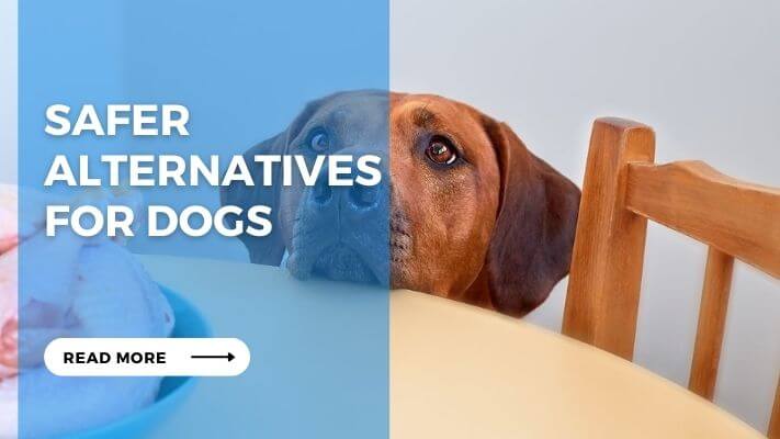 Safer Alternatives for Dogs