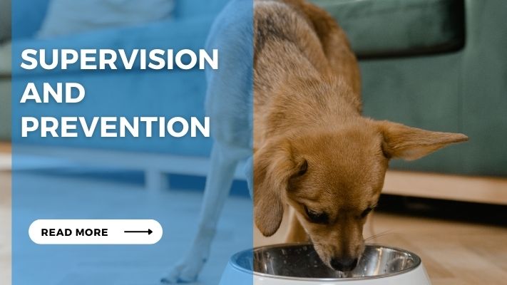 Supervision and Prevention