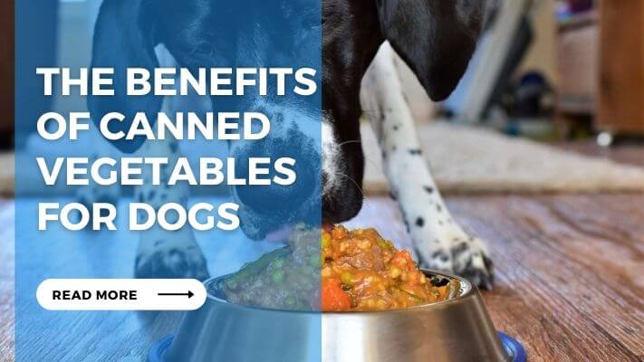 The Benefits of Canned Vegetables for Dogs