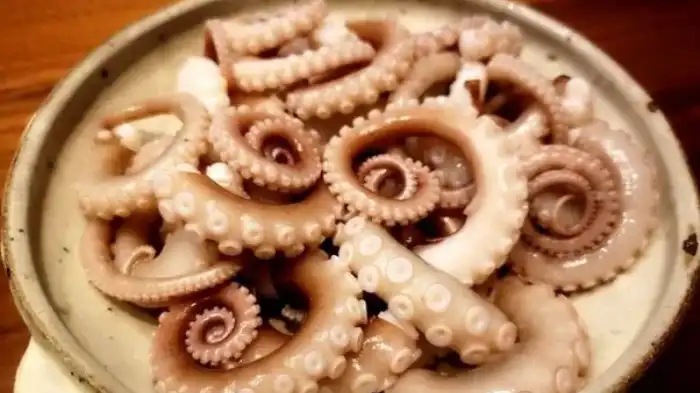 Can dogs eat octopus?