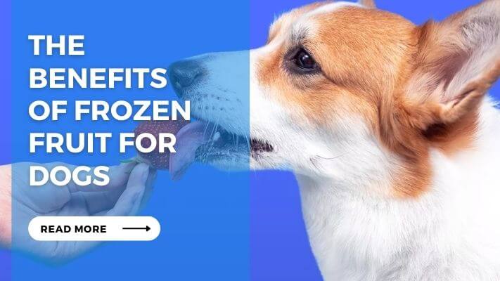 The Benefits of Frozen Fruit for Dogs