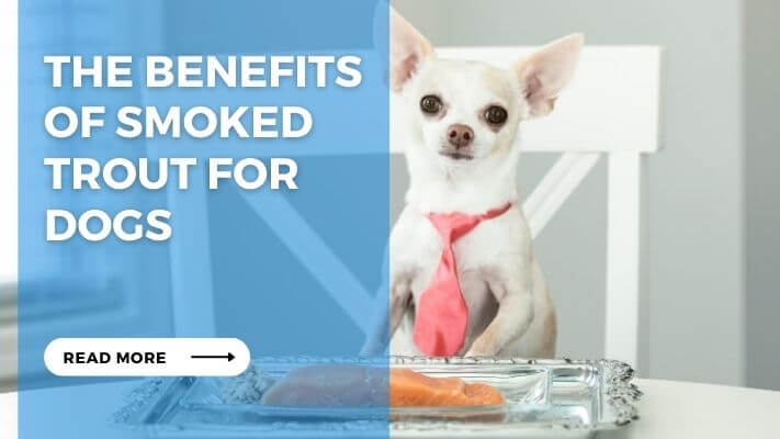 The Benefits of Smoked Trout for Dogs