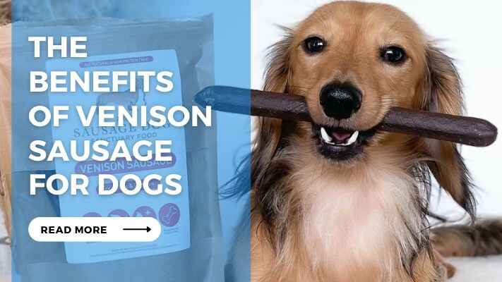 The Benefits of Venison Sausage for Dog