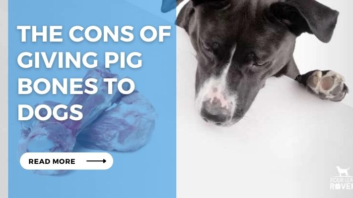 The Cons of Giving Pig Bones to Dogs